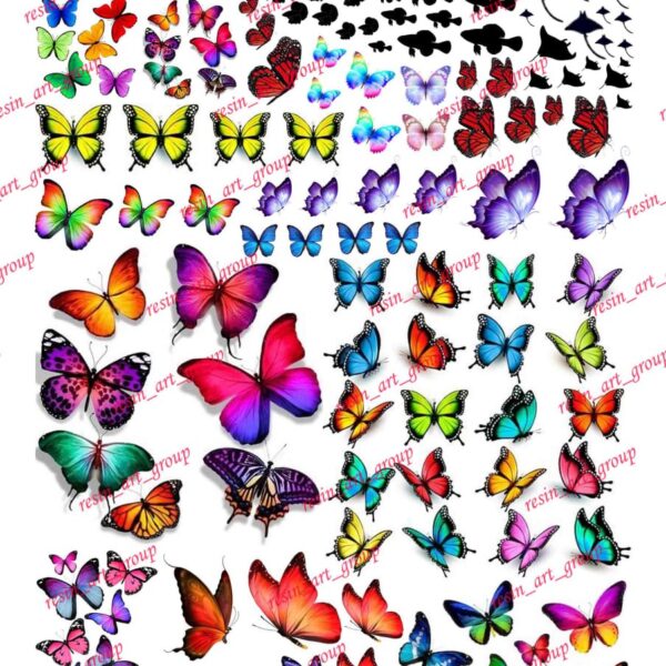 ترنسفر پروانه کد 26