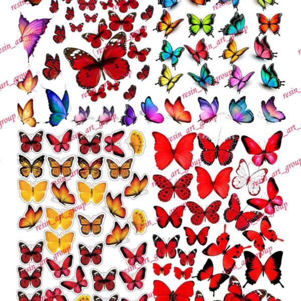 ترنسفر پروانه کد 27