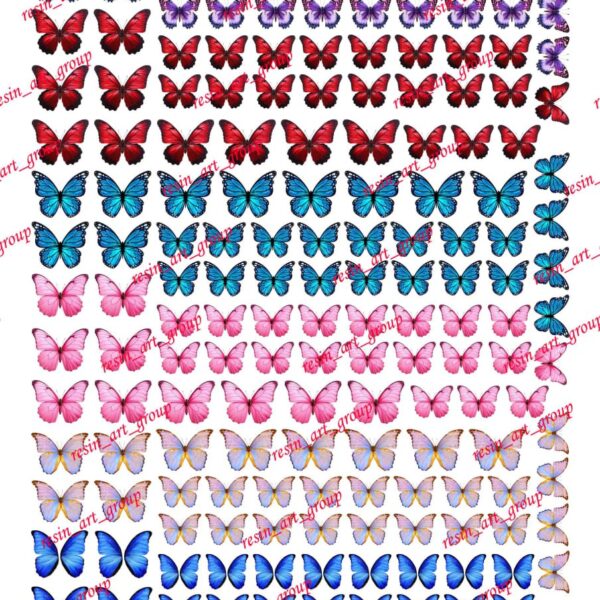 ترنسفر پروانه کد 33