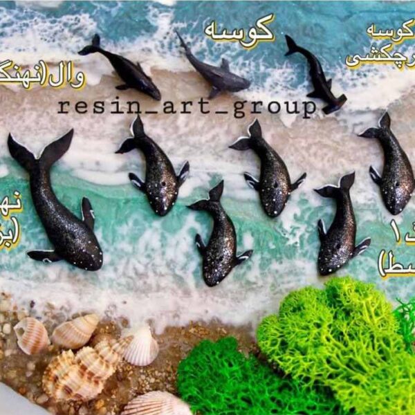 ماکت نهنگ،وال، کوسه
